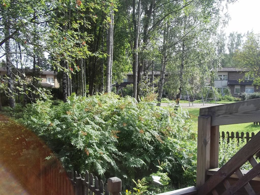 100_3452